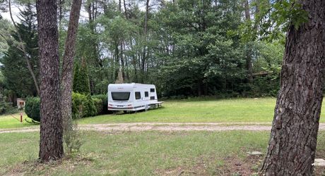 En Périgord Noir , entre Périgueux et Brive à 20 minutes de Montignac, propriété sur 3ha3 de terrain arboré avec une maison principale d'habitation, un gîte, une piscine et un petit étang. A voir!