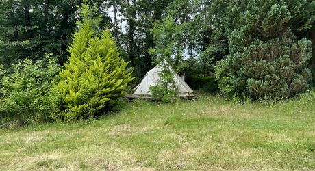 En Périgord Noir , entre Périgueux et Brive à 20 minutes de Montignac, propriété sur 3ha3 de terrain arboré avec une maison principale d'habitation, un gîte, une piscine et un petit étang. A voir!