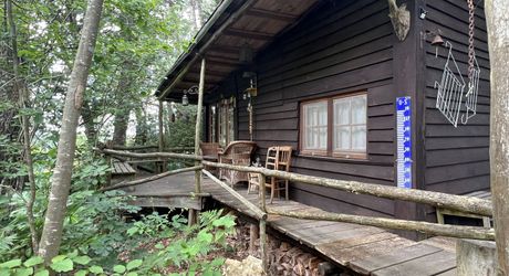 En Périgord Noir , entre Périgueux et Brive à 20 minutes de Montignac, propriété sur 3ha3 de terrain arboré avec une maison principale d'habitation, un gîte, une piscine et un petit étang. A voir!