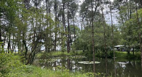 En Périgord Noir , entre Périgueux et Brive à 20 minutes de Montignac, propriété sur 3ha3 de terrain arboré avec une maison principale d'habitation, un gîte, une piscine et un petit étang. A voir!
