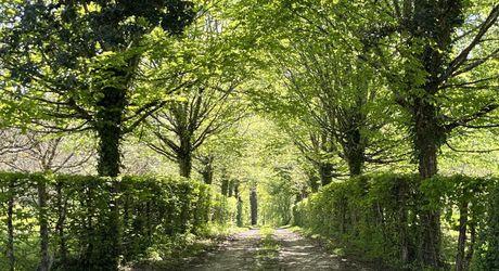 En exclusivité, une des plus belles propriétés de la Vallée de la Vézère en Périgord Noir, sur plus de 20 hectares. Situation privilégiée.