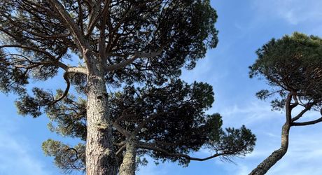 En exclusivité, une des plus belles propriétés de la Vallée de la Vézère en Périgord Noir, sur plus de 20 hectares. Situation privilégiée.