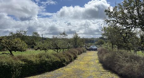 Maison périgourdine de 130m², au coeur de la campagne isolée.