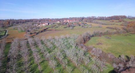 En Périgord Noir, sur les hauteurs, Propriété à rénover sur environ 4 hectares de terrain avec étang. Toitures neuves. Rénovation intérieure à réaliser.