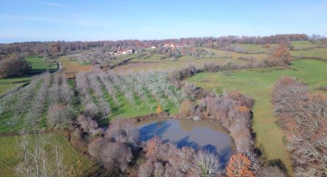 En Périgord Noir, sur les hauteurs, Propriété à rénover sur environ 4 hectares de terrain avec étang. Toitures neuves. Rénovation intérieure à réaliser.
