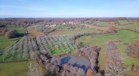 En Périgord Noir, sur les hauteurs, Propriété à rénover sur environ 4 hectares de terrain avec étang. Toitures neuves. Rénovation intérieure à réaliser.