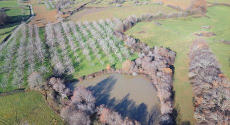 En Périgord Noir, sur les hauteurs, Propriété à rénover sur environ 4 hectares de terrain avec étang. Toitures neuves. Rénovation intérieure à réaliser.
