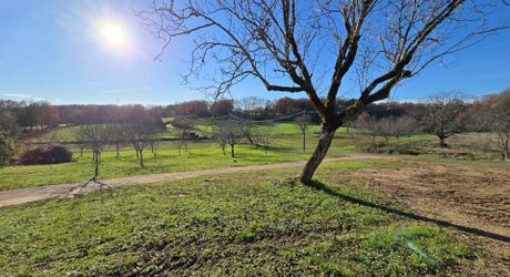 En Périgord Noir, sur les hauteurs, Propriété à rénover sur environ 4 hectares de terrain avec étang. Toitures neuves. Rénovation intérieure à réaliser.
