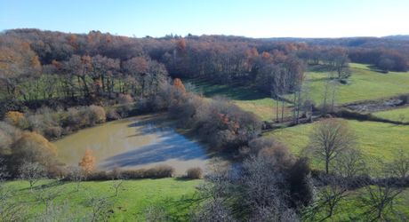En Périgord Noir, sur les hauteurs, Propriété à rénover sur environ 4 hectares de terrain avec étang. Toitures neuves. Rénovation intérieure à réaliser.