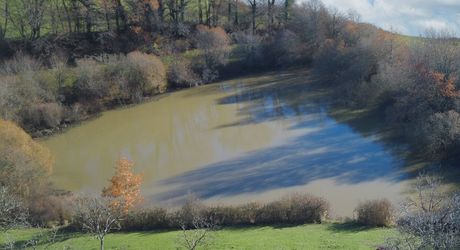 En Périgord Noir, sur les hauteurs, Propriété à rénover sur environ 4 hectares de terrain avec étang. Toitures neuves. Rénovation intérieure à réaliser.