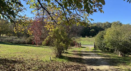 In Périgord Noir, near a small traditional village 5 minutes from MONTIGNAC, house in need of renovation with garage and over 4,000 m² of land.