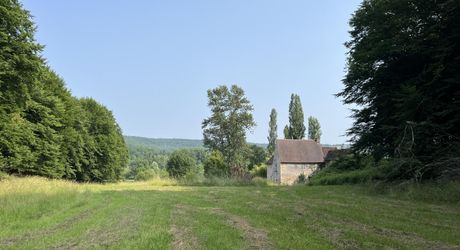 Belle propriété à rénover en Vallée Vézère, sur près de 4 hectares en nature de prairie et bois, avec plusieurs sources. Maison principale et dépendances. Très beau site.