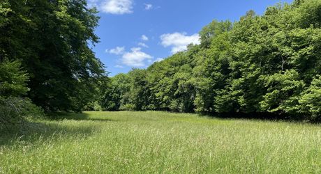 Belle propriété à rénover en Vallée Vézère, sur près de 4 hectares en nature de prairie et bois, avec plusieurs sources. Maison principale et dépendances. Très beau site.