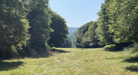 Beautiful property to renovate in the Vézère Valley, set on nearly 4 hectares of meadows and woods, with several springs. Main house and outbuildings. Very beautiful location.
