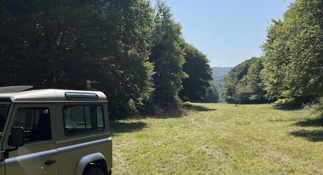 Beautiful property to renovate in the Vézère Valley, set on nearly 4 hectares of meadows and woods, with several springs. Main house and outbuildings. Very beautiful location.