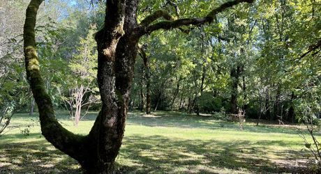 En Périgord Noir, à 8 kilomètres de Montignac-Lascaux, belle propriété de caractère située au calme, sans voisin proche, orientée au sud dans un environnement boisé, avec une maison principale, une maison d'amis et une jolie piscine.