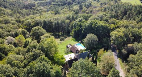 En Périgord Noir, à 8 kilomètres de Montignac-Lascaux, belle propriété de caractère située au calme, sans voisin proche, orientée au sud dans un environnement boisé, avec une maison principale, une maison d'amis et une jolie piscine.