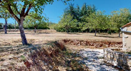 In the heart of the Périgord Noir, charming renovated stone house with swimming pool.
