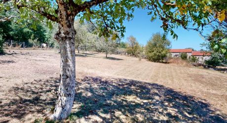 In the heart of the Périgord Noir, charming renovated stone house with swimming pool.