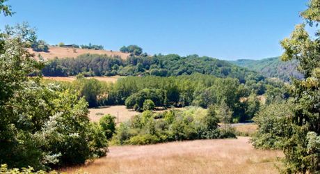In Périgord Noir, in the Vézère valley, on over 6 hectares, property with lovely views comprising a large main house and a guest house.