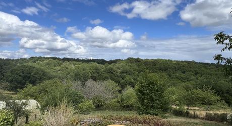 In the heart of the Périgord Noir, an authentic Périgord stone house with a barn in a small hamlet 15 minutes from Montignac-Lascaux.