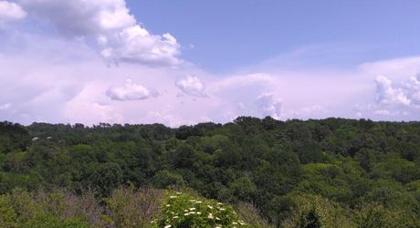 Au cœur du Périgord Noir, authentique périgourdine en pierre avec une grange dans un petit hameau à 15 minutes de Montignac-Lascaux. 