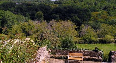 Au cœur du Périgord Noir, authentique périgourdine en pierre avec une grange dans un petit hameau à 15 minutes de Montignac-Lascaux. 