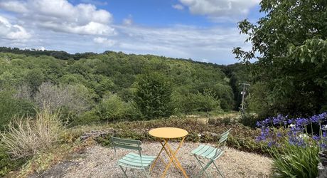 In the heart of the Périgord Noir, an authentic Périgord stone house with a barn in a small hamlet 15 minutes from Montignac-Lascaux.