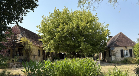 En Périgord Noir, propriété de caractère-ancienne fermette en pierre- avec piscine située en campagne, au calme avec jolie vue. Magnifique cour ombragée entre la maison principale, la maison d'amis et la terrasse. Atelier. Terrain d'environ 8000 m².