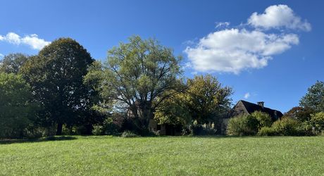 En Périgord Noir, propriété de caractère-ancienne fermette en pierre- avec piscine située en campagne, au calme avec jolie vue. Magnifique cour ombragée entre la maison principale, la maison d'amis et la terrasse. Atelier. Terrain d'environ 8000 m².