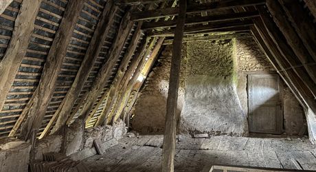 Superbe demeure en plein centre de Montignac-Lascaux sur plus d'1 hectare de terrain avec une source et accès à la vézère. La campagne à la ville.