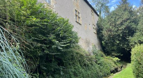 Superbe demeure en plein centre de Montignac-Lascaux sur plus d'1 hectare de terrain avec une source et accès à la vézère. La campagne à la ville.