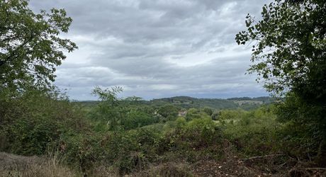 Entre Sarlat, Montignac et les Eyzies, sur la commune de Tamnies, ancien corps de ferme à rénover entièrement.