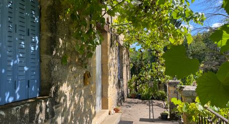 En Périgord Noir, dans le magnifique village de SAINT-LEON-SUR-VEZERE, à proximité à pieds de l’épicerie et des restaurants, maison ancienne rénovée avec grande cave/atelier, jardin, dépendance et verger.