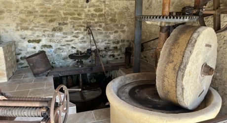 En Périgord Noir, sur 7 ha, domaine composé d'un ancien moulin ayant fait l'objet d'une rénovation exceptionnelle. Ensemble actuellement à usage d'huilerie-boutique-musée.