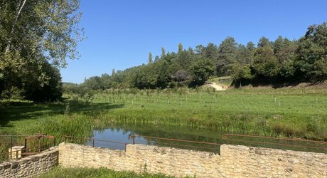 En Périgord Noir, sur 7 ha, domaine composé d'un ancien moulin ayant fait l'objet d'une rénovation exceptionnelle. Ensemble actuellement à usage d'huilerie-boutique-musée.