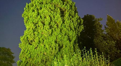 Elégante maison de maître au charme authentique, avec piscine, tranquillité et un vaste jardin, en plein cœur de la ville. 
