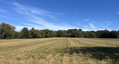 Proche de la rivière Dordogne, entre Sarlat et Souillac, bel ensemble sur deux hectares avec maison principale et grande grange.