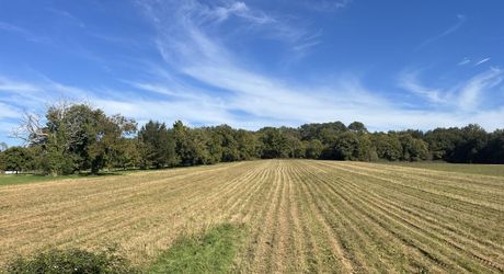 Proche de la rivière Dordogne, entre Sarlat et Souillac, bel ensemble sur deux hectares avec maison principale et grande grange.