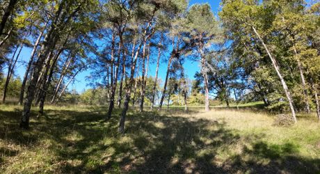 En Périgord Noir, sur les hauteurs à 10 mn de Montignac, maison en pierre sur 4 hectares dans un environnement boisé, calme et sans voisin proche.