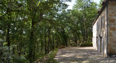 In Périgord Noir, on the heights at 10 mn from Montignac, stone house on 4 hectares in a wooded environment, without close neighbours.