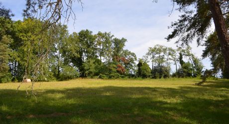 In Périgord Noir, on the heights at 10 mn from Montignac, stone house on 4 hectares in a wooded environment, without close neighbours.