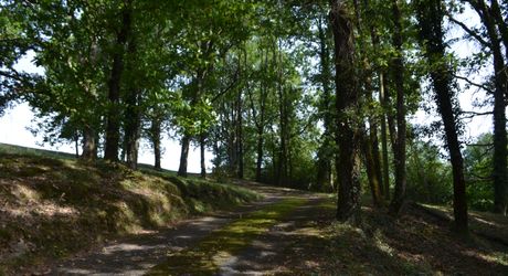 In Périgord Noir, on the heights at 10 mn from Montignac, stone house on 4 hectares in a wooded environment, without close neighbours.