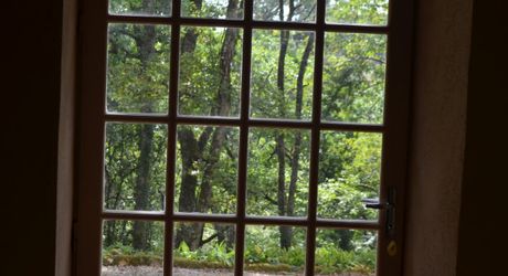 In Périgord Noir, on the heights at 10 mn from Montignac, stone house on 4 hectares in a wooded environment, without close neighbours.