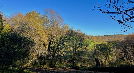 En Périgord Noir, en campagne, à 10 minutes de tous les commerces et écoles, propriété de charme sur plus de 2 hectares comprenant une maison d'artiste, une grange aménagée façon 