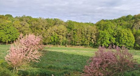 En Périgord Noir, en campagne, à 10 minutes de tous les commerces et écoles, propriété de charme sur plus de 2 hectares comprenant une maison d'artiste, une grange aménagée façon 