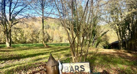 En Périgord Noir, en campagne, à 10 minutes de tous les commerces et écoles, propriété de charme sur plus de 2 hectares comprenant une maison d'artiste, une grange aménagée façon 