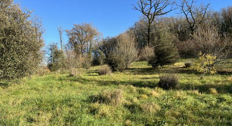En Périgord Noir entre Montignac-Lascaux et Hautefort: ensemble comprenant deux gîtes de caractère et un corps de ferme à rénover sur environ 14 hectares de terrain.