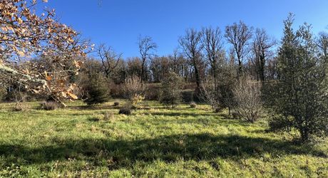 En Périgord Noir entre Montignac-Lascaux et Hautefort: ensemble comprenant deux gîtes de caractère et un corps de ferme à rénover sur environ 14 hectares de terrain.