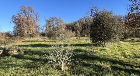 En Périgord Noir entre Montignac-Lascaux et Hautefort: ensemble comprenant deux gîtes de caractère et un corps de ferme à rénover sur environ 14 hectares de terrain.